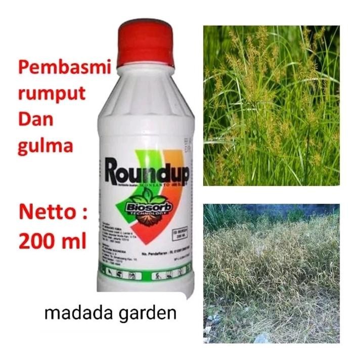 Roundup Obat Pembasmi Rumput