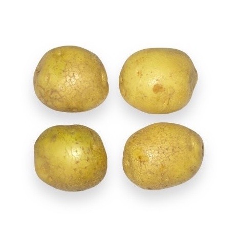 

Kentang Organik 500gr