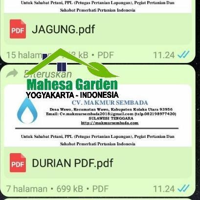 New Pupuk Asam Amino Plus Makmur Sembada 100% Ori