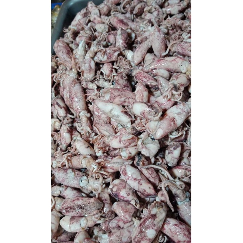 

Terlaris! cumi asin kecil 250grm