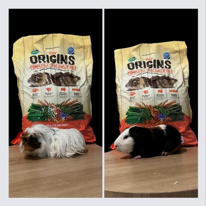 Vetafarm Origins Cavy Guinea Pig Pakan Marmut Import Australia Marmot