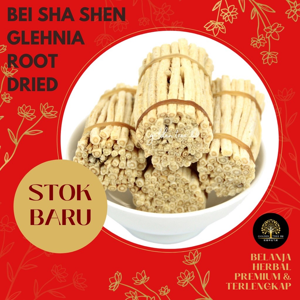 

Terlaris! 50gram Pum Bai Sha Shen Sasom Shasom Shashen Coastal Glehnia Root