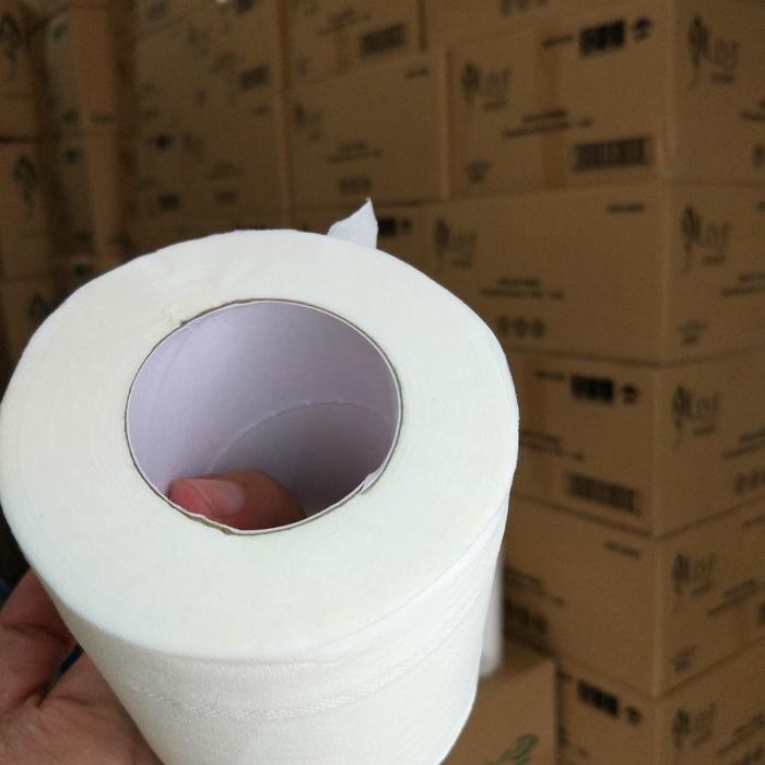 Tissue Roll Toilet - Livi Smartdue