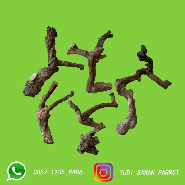 Kayu Kopi Tangkringan Kandang Kadal Iguana Raptile Ular Tarantula