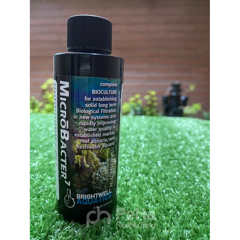 MICROBACTER7 BRIGHTWELL MB7 - BAKTERI PENURUN NITRATE PHOSPHATE 125 ML