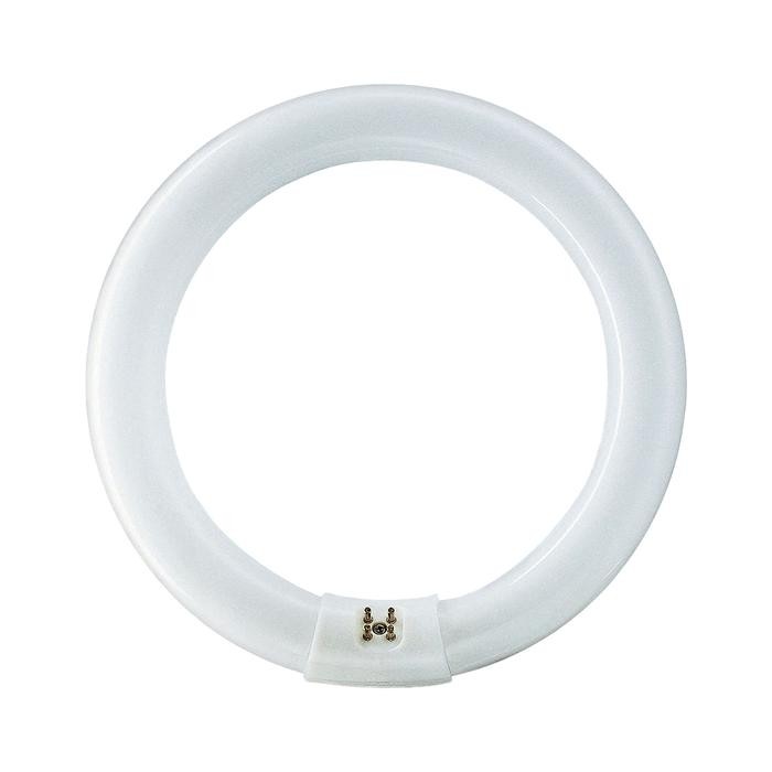 TL Ring 22 Watt Philips / Neon Bulat 22 W / TL bulat 22 W / Lampu Neon