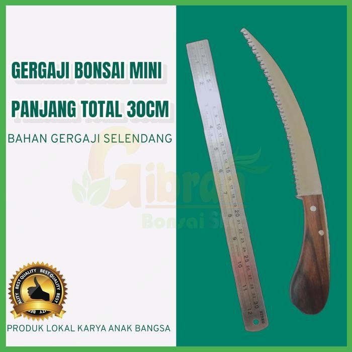 Gergaji Bonsai Bahan Baja Gergaji Selendang Alat Bonsai