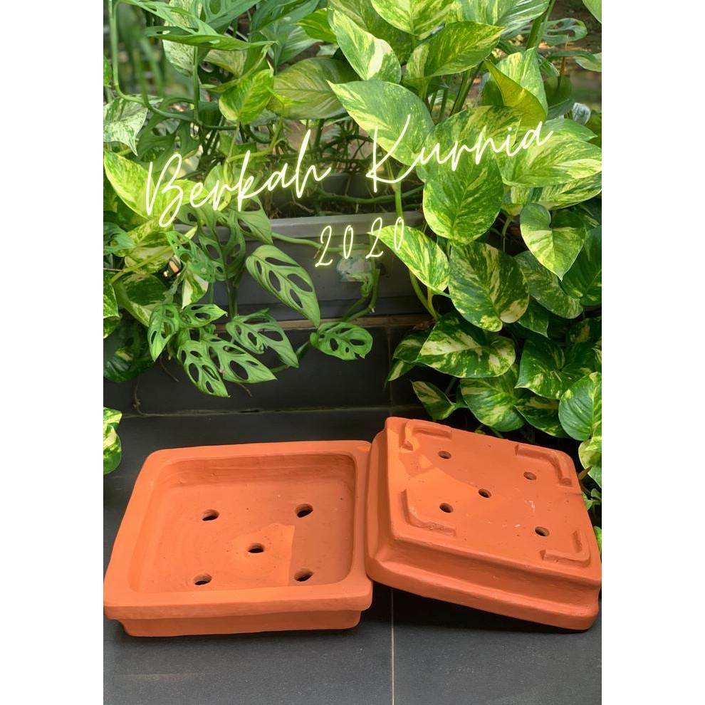 Pot Teracotta Bonsai Pot Tanah Liat Bonsai Pot Gerabah Bonsai Kode 982