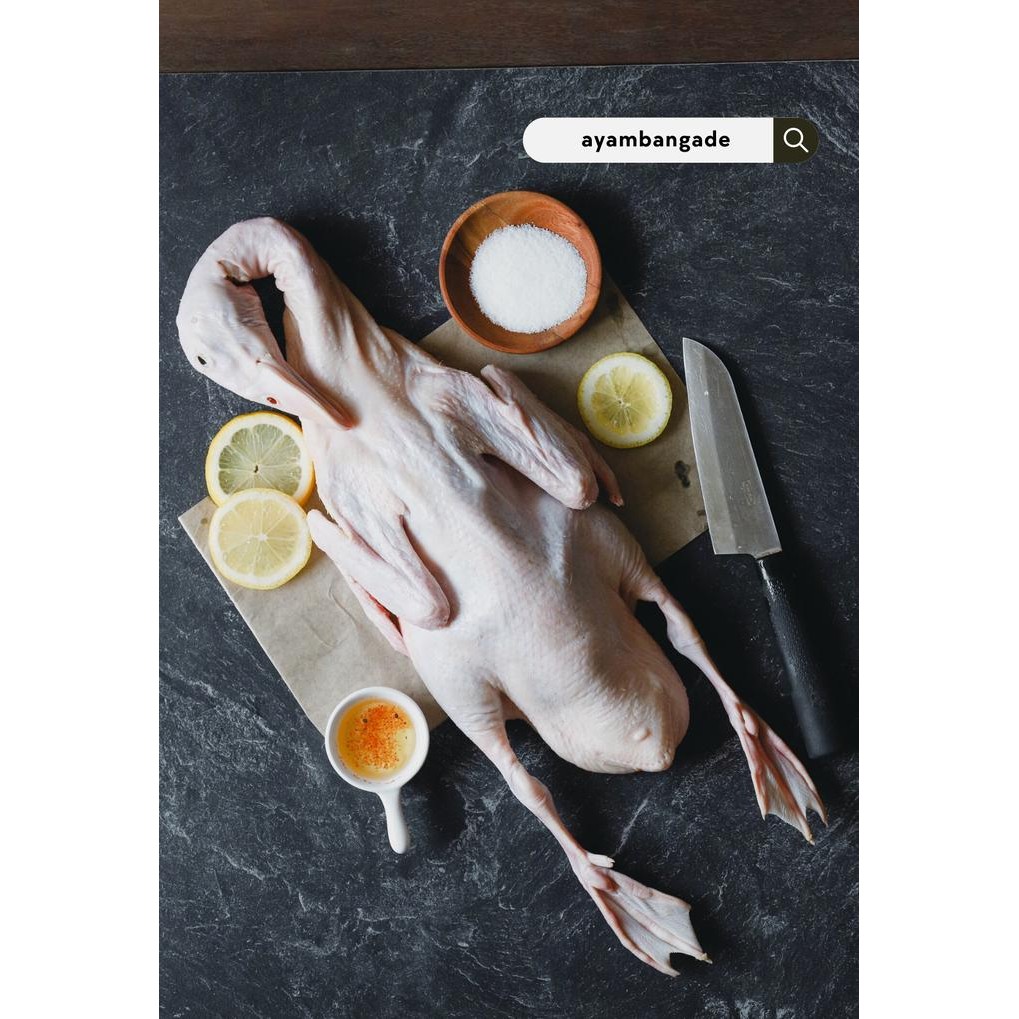 

Daging Bebek Hibrida Segar 1.3-1.4kg, Daging Bebek Hibrida