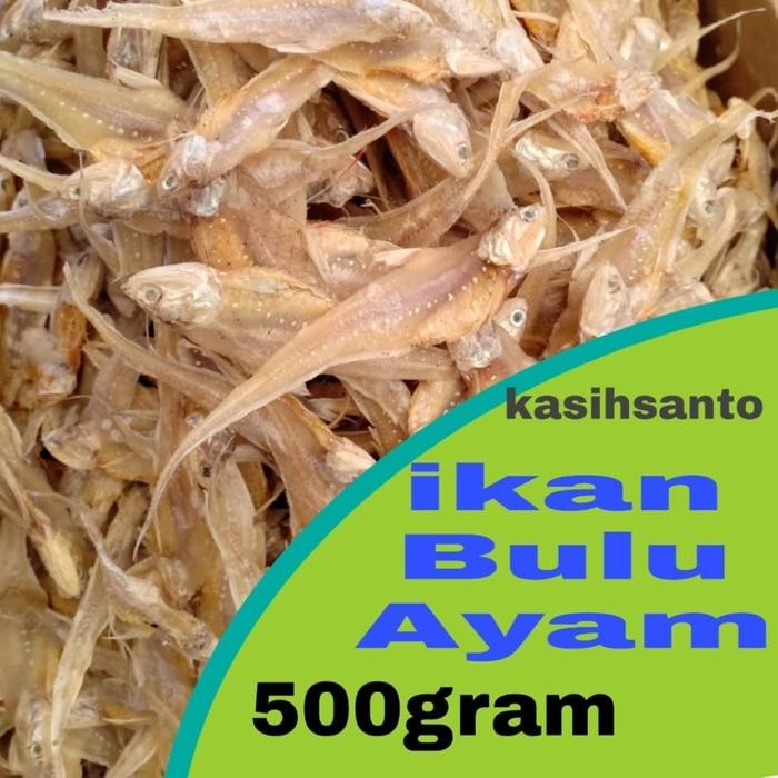 

New ikan asin bulu ayam-500gram