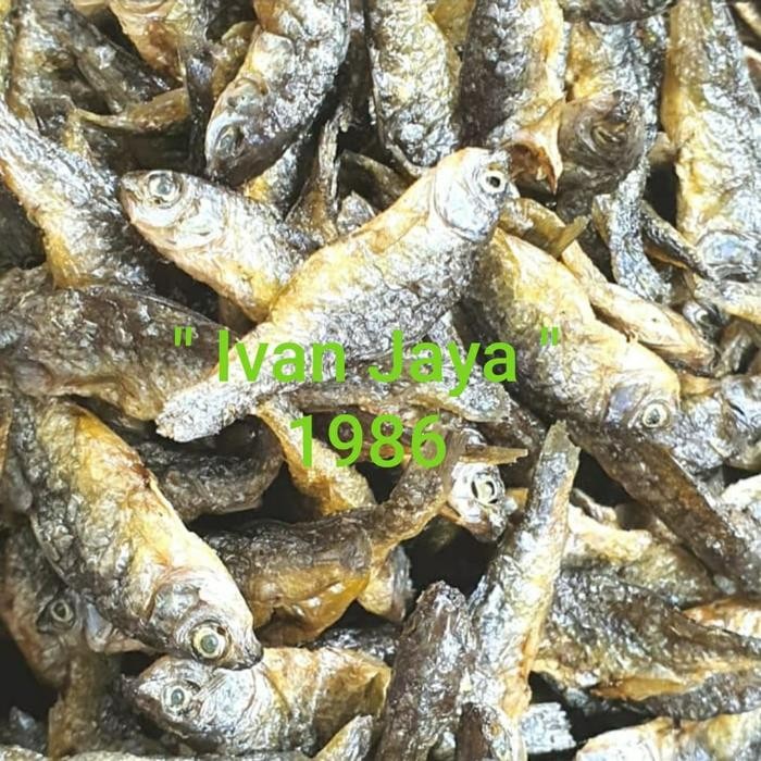 

New Ikan Danau singkarak atau bilih kecil 250 gram