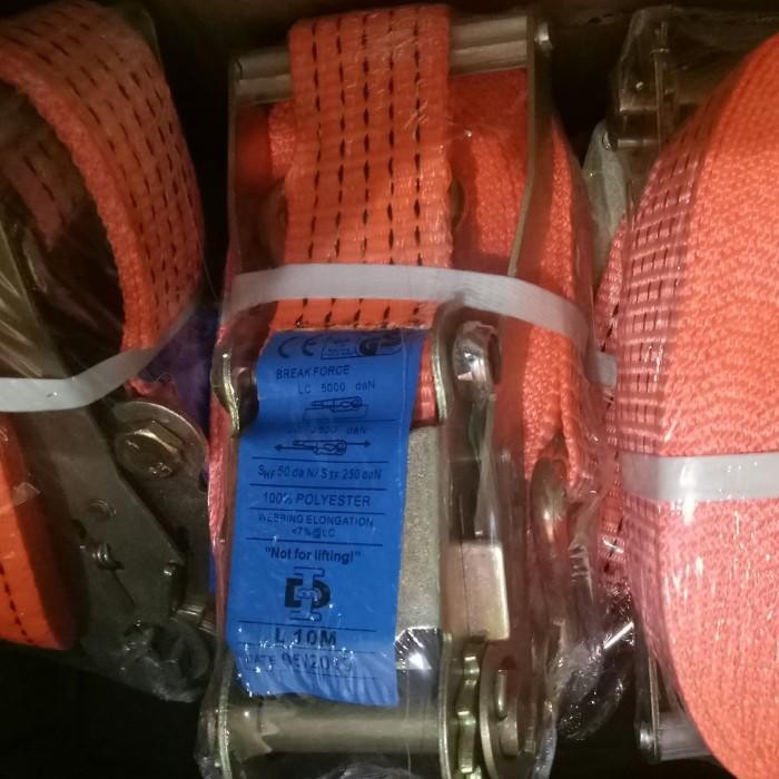 Expert Rachet Cargo Lashing Webbing Tali Pengikat Track Belt 5 Ton 10 meter