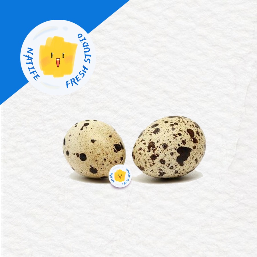 

TELUR Puyuh MENTAH per 10 pcs | Telor Quail Eggs SEGAR FRESH