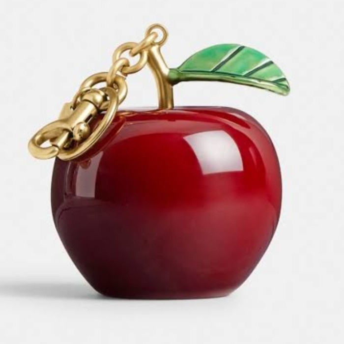 Coach apple bag charm 2024 original