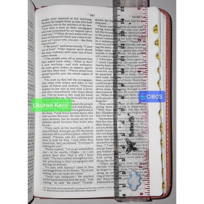 

Ready Niv Holy Bible. Alkitab Kristen Bahasa Inggris New International Version. Small / Medium Size.