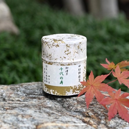 

KANBAYASHI SHUNSHO Chiyo no Kotobuki Ceremonial Matcha/ Japan Ceremonial Grade Matcha Powder/ Bubuk