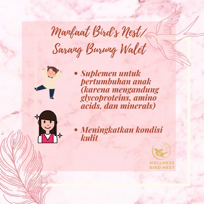 

numan Sarang Burung Walet Asli 100% dgn/tanpa Gula Batu(6 jar)