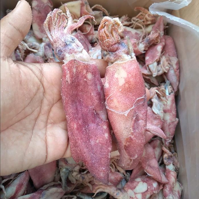 

terbaru !!! cumi kering asin 1kg organik alami food ready