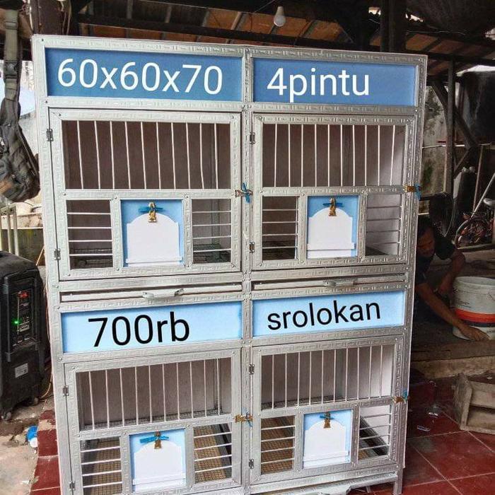kandang burung merpati dara macan gupon bupon 4 pintu slorok by berkah kurung creative DiskonJual