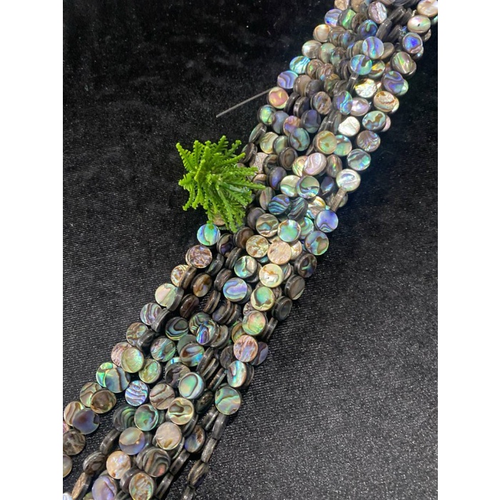 

{{{{}}] DIY KERANG PIPIH PAUA 10MM