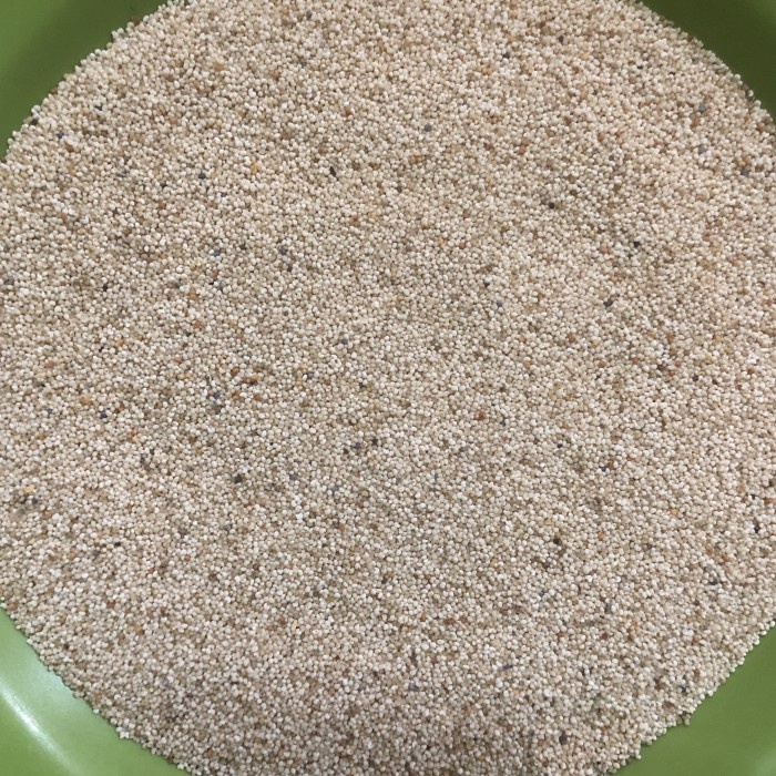 

Kas - Kas / Kualitas pilihan / Import 1 Kg TERLARIS/TERMURAH/TERPOPULER