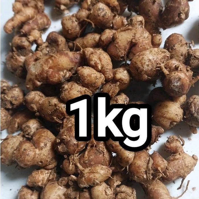 

1KG bumbu seblak CIKUR TUAMUDA BUMBU DAPUR pilihan Rempah Penyedap