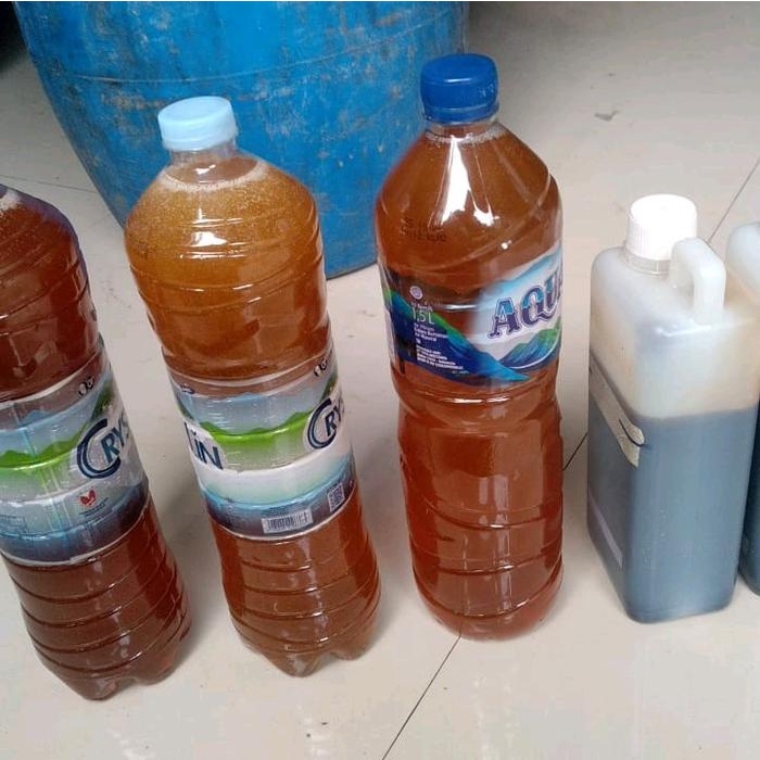 

MADU MURNI NEKTAR KARET DARI LEBAH TERNAK MELIFERA MADU BUAT LAMBUNG ASLI BEST SELLER