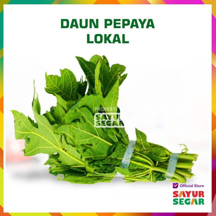 

Sale! Daun Pepaya Lokal [1 Ikat] Daun Pepaya Pahit