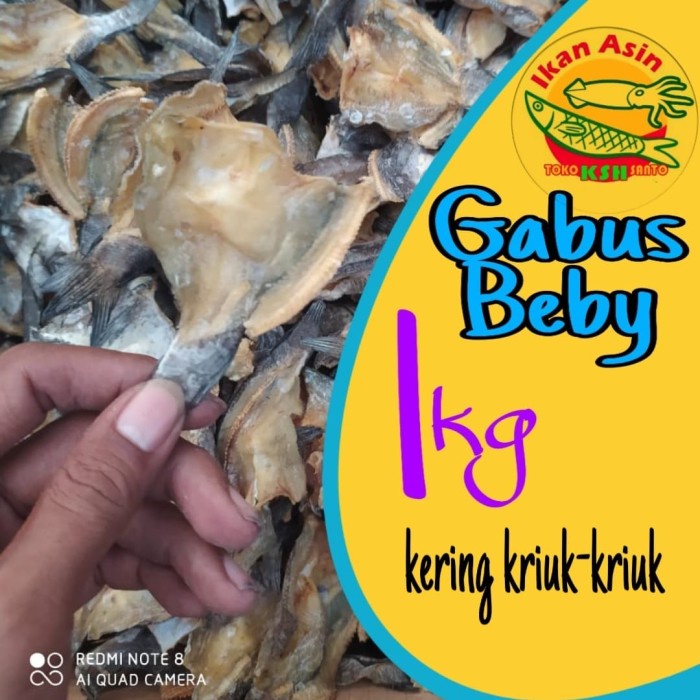 

Terlaris Ikan Asin Gabus Baby-1Kg Ready