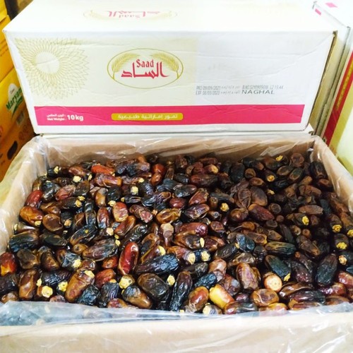 

Kurma Nagal Nagel Naghal Naghel Saad 10 kg Kartonan