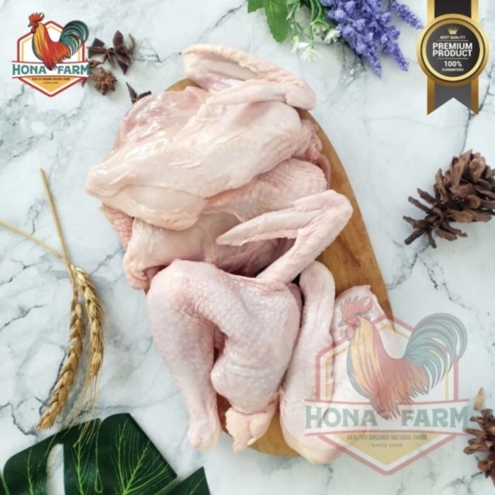 

SALE PROMO HONA FARM AYAM KAMPUNG ORGANIK PROBIOTIK 700-799 GR (POTONG 8) READYY