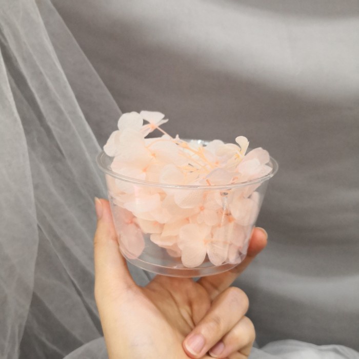 Hydrangea Preserved bunga kering