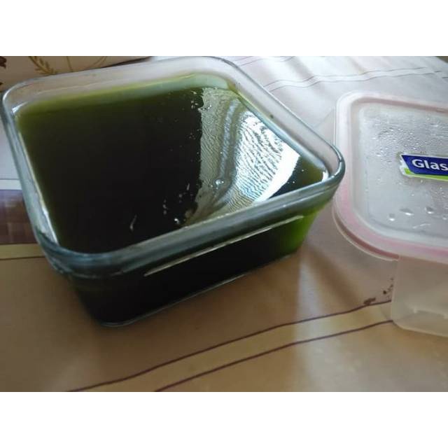 

daun cincau segar 1 kg organik