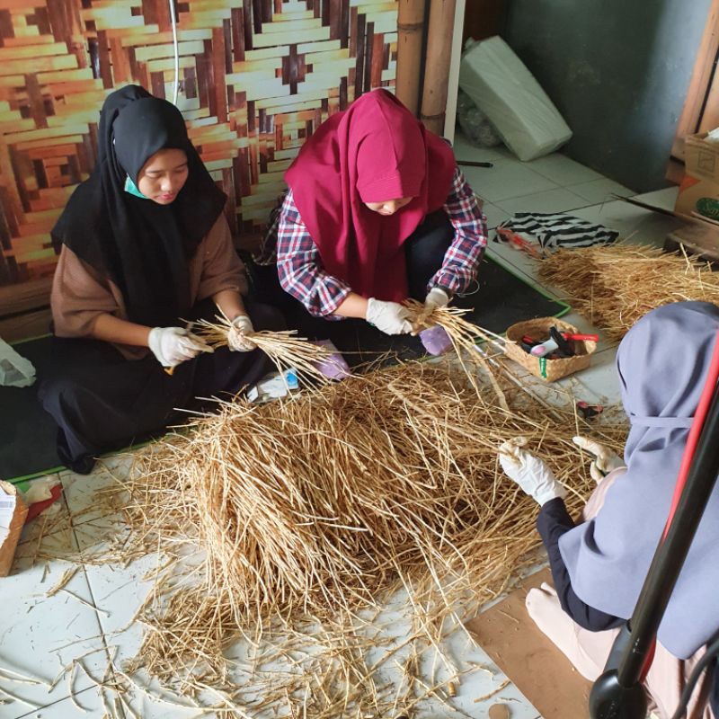 

Akar Alang alang segar 1kg