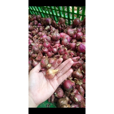 

BAWANG MERAH LOKAL BALI KARET/ BAWANG BATU 1KG