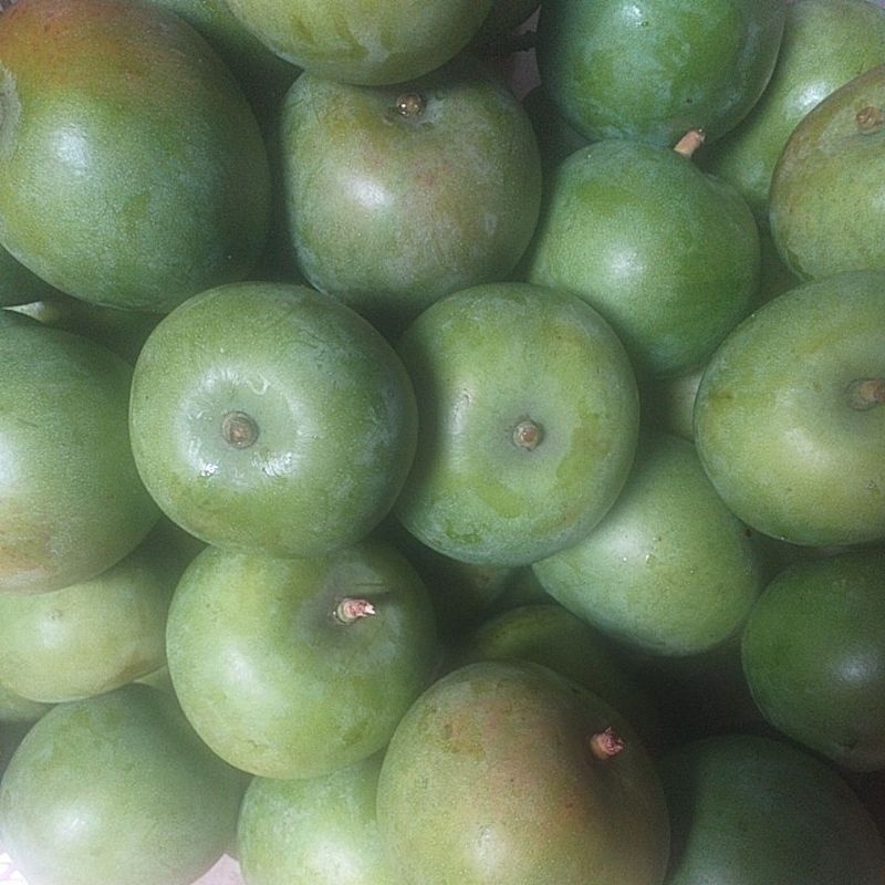 

mangga muda apel 1 kg/mangga rujak