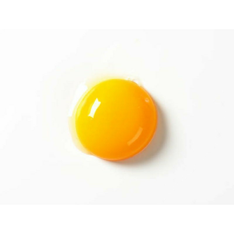 

Telur Ayam Negeri (1kg) harga emak-emak