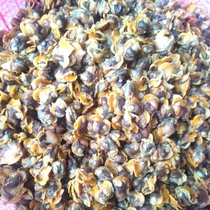 

Keong Sawah/Tutut Kupas 1Kg