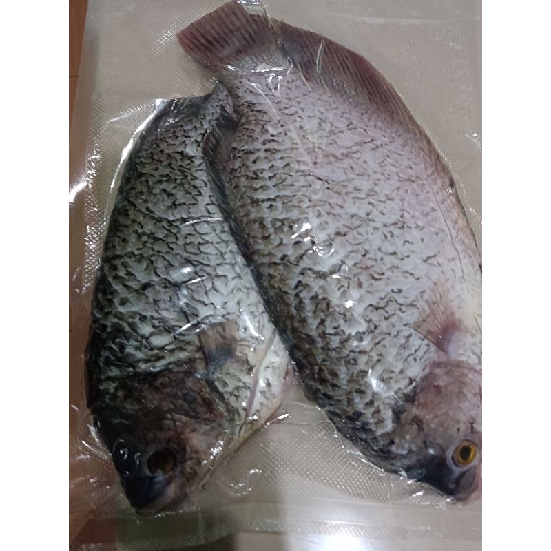 

IKAN GURAME 1 EKOR BERAT 5,5 ons