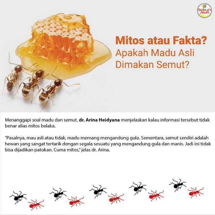 

BARANG TERLARIS RAW HONEY (Madu sarang tiris) 1kg Recommended