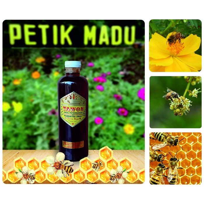 

BARANG TERLARIS Madu Murni bunga lengkeng 500 ml botol plastik