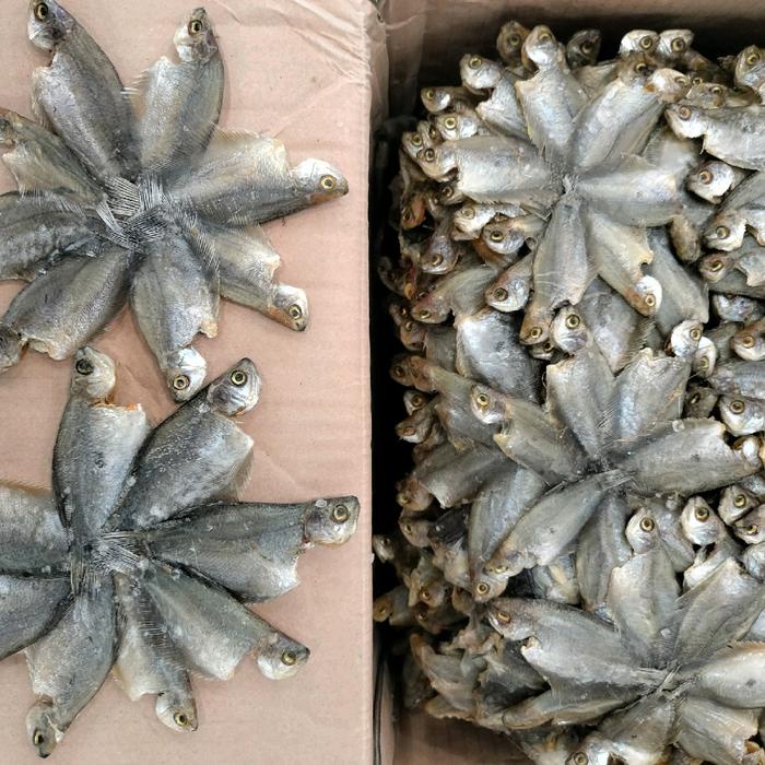 

SALE !!! IKAN ASIN SEPAT RAWA/SEPAT PADI SUSUN BINTANG KUALITAS PREMIUM READYY