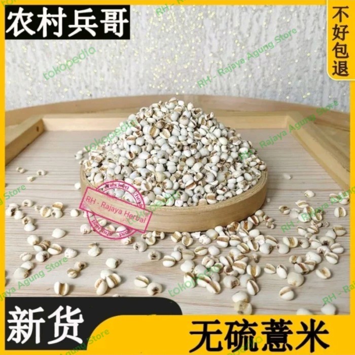 

SALE !!! 500 GRAM COIX LACRYMA SEEDS IE YIN REN BERAS JALI JALI ORGANIK READYY