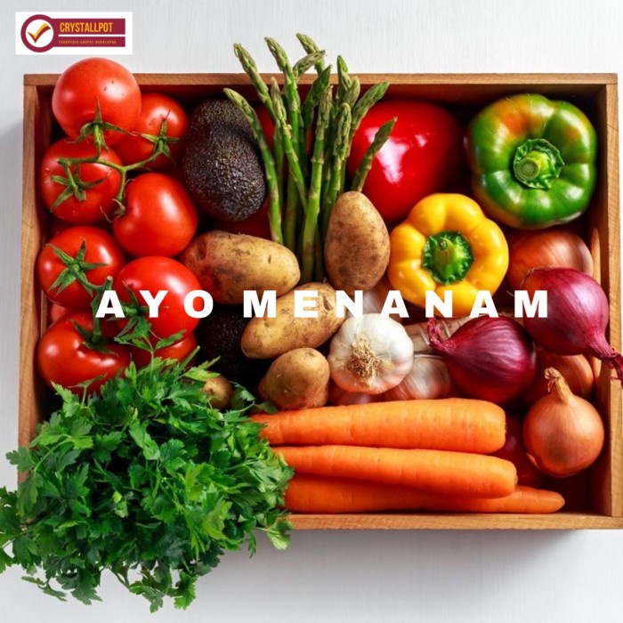 BIG SALE Benih bibit tanaman sayuran organik eceran repack - bibit sayuran