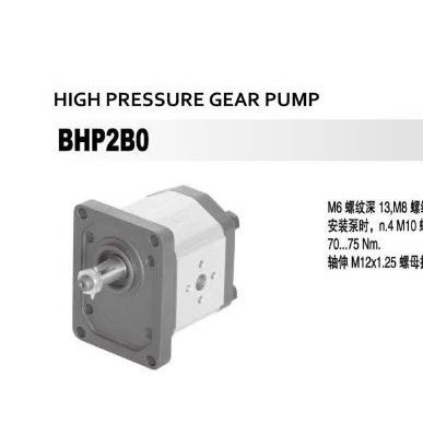TERMURAH FUJI GEARPUMP 30CC BHP2B0-D-30-C4-E4 MODEL KOTAK BEST SELLER