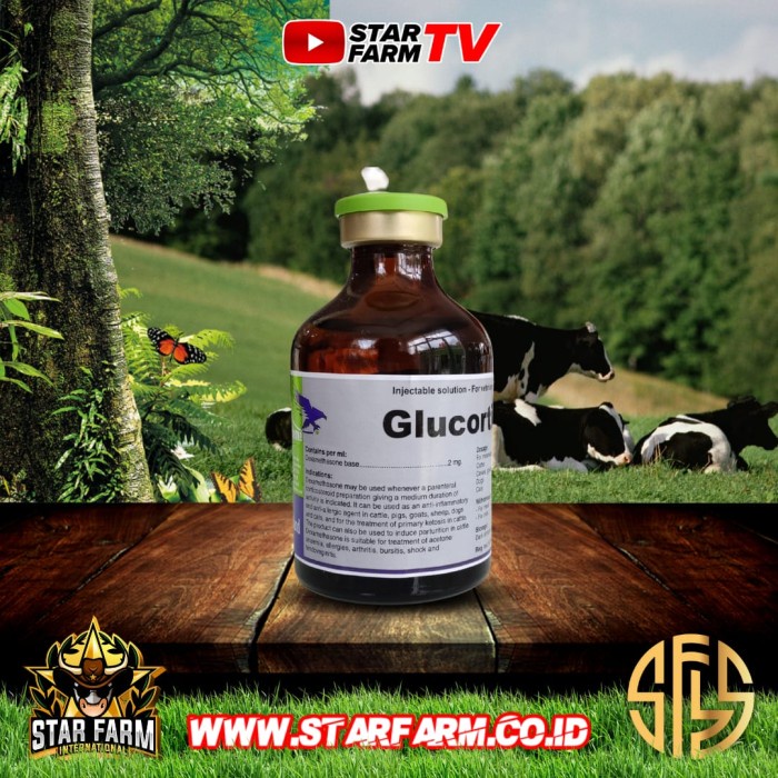 Best Seller Glucortin 50Ml