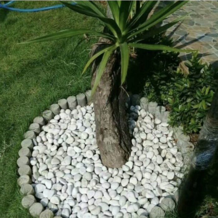 ADT- Batu Koral Putih kupang / Batu taman/ Batu Tabur Putih untuk Taman