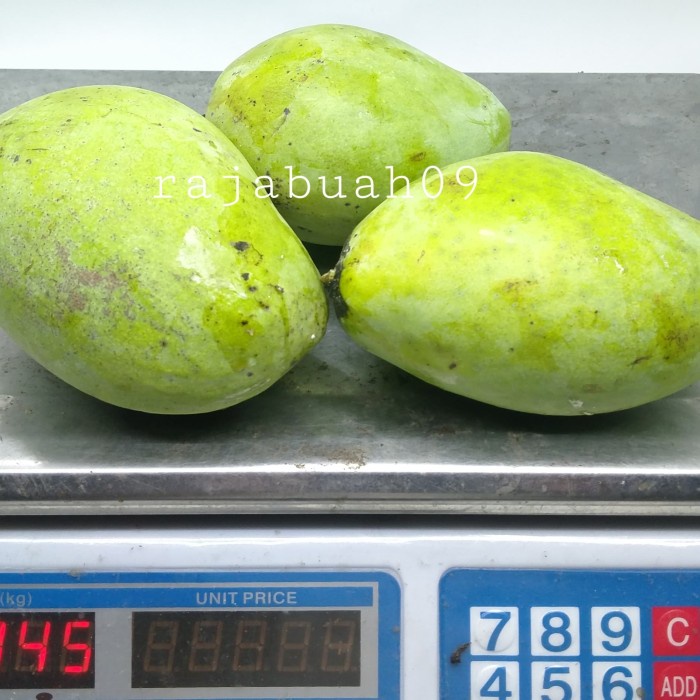 

HJK MANGGA INDRAMAYU 1KG MURAH MANIS