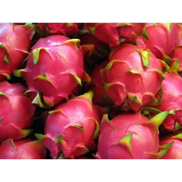 

HJK Buah Naga Buah Segar Bandung