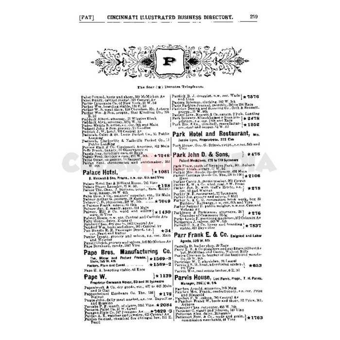 Inggris Only Pape Bros. Manufacturing Co. Pape W. Park Palace Hotel Softcover